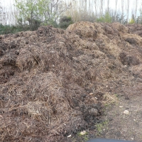 Déchets verts