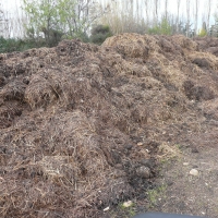 transp-200x200-resizeIn.11compost_paille_et_fumier