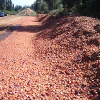fruits écartés