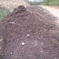 compost au bout de 12 mois