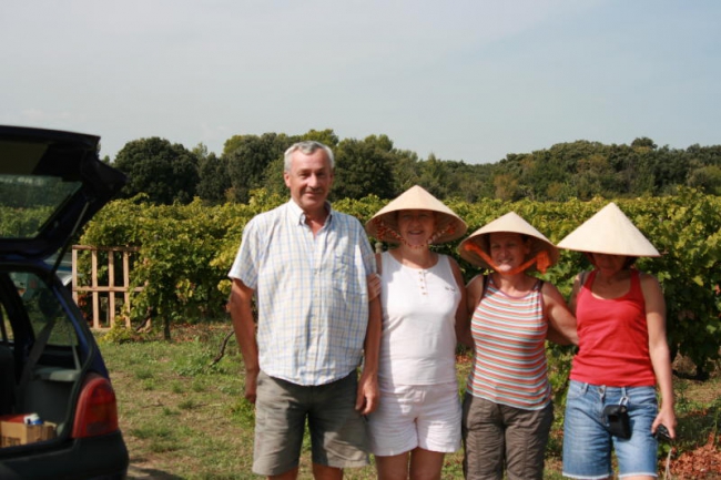 les bienheureux des vendanges