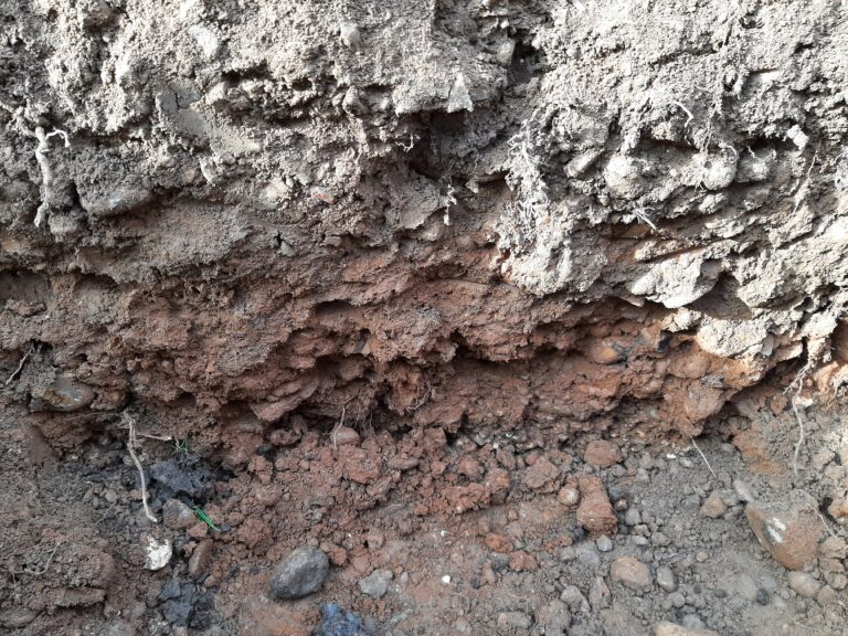 Granny chalon plateau