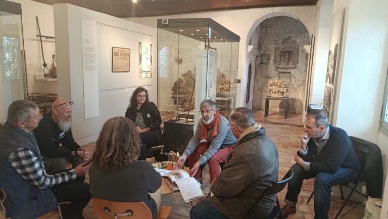 IMG_20251115_150555bis